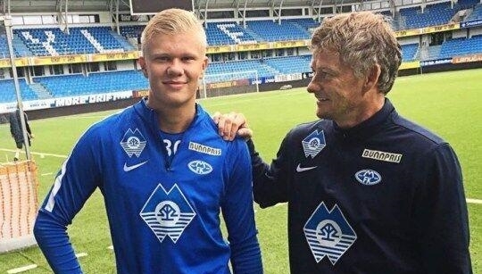 的低容忍 的低容忍